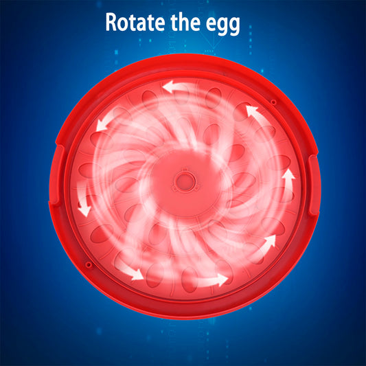 Incubadora 30 Huevos Volteo Automatico Doble Voltaje