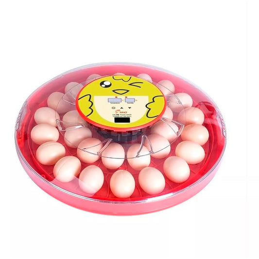 Incubadora 30 Huevos Volteo Automatico Doble Voltaje