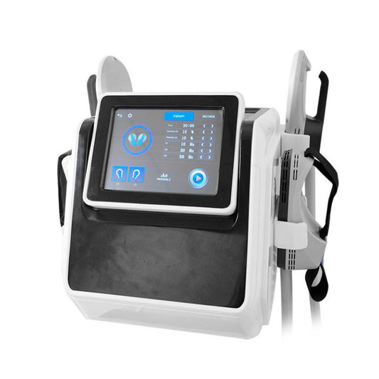 Ems Sculptor Plus 4 Asas