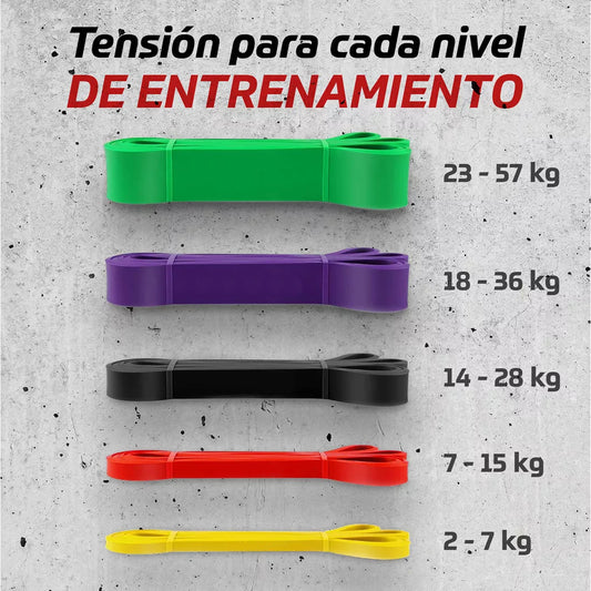 Power bands Bandas Elasticas Recistencia set 5 Latex Color