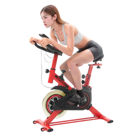 Bicicleta Spinning Estática Profesional Ejercicio
