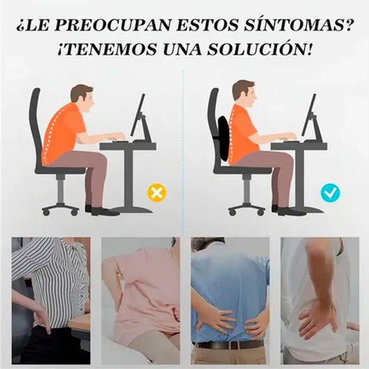 Cojin Soporte Espalda Corrector Lumbar
